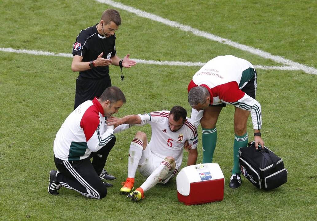 Euro 2016: Vengrija - Austrija 2:0