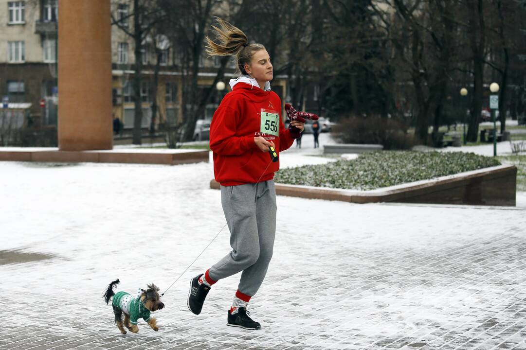 Padovanok senjorams Kalėdas 2018