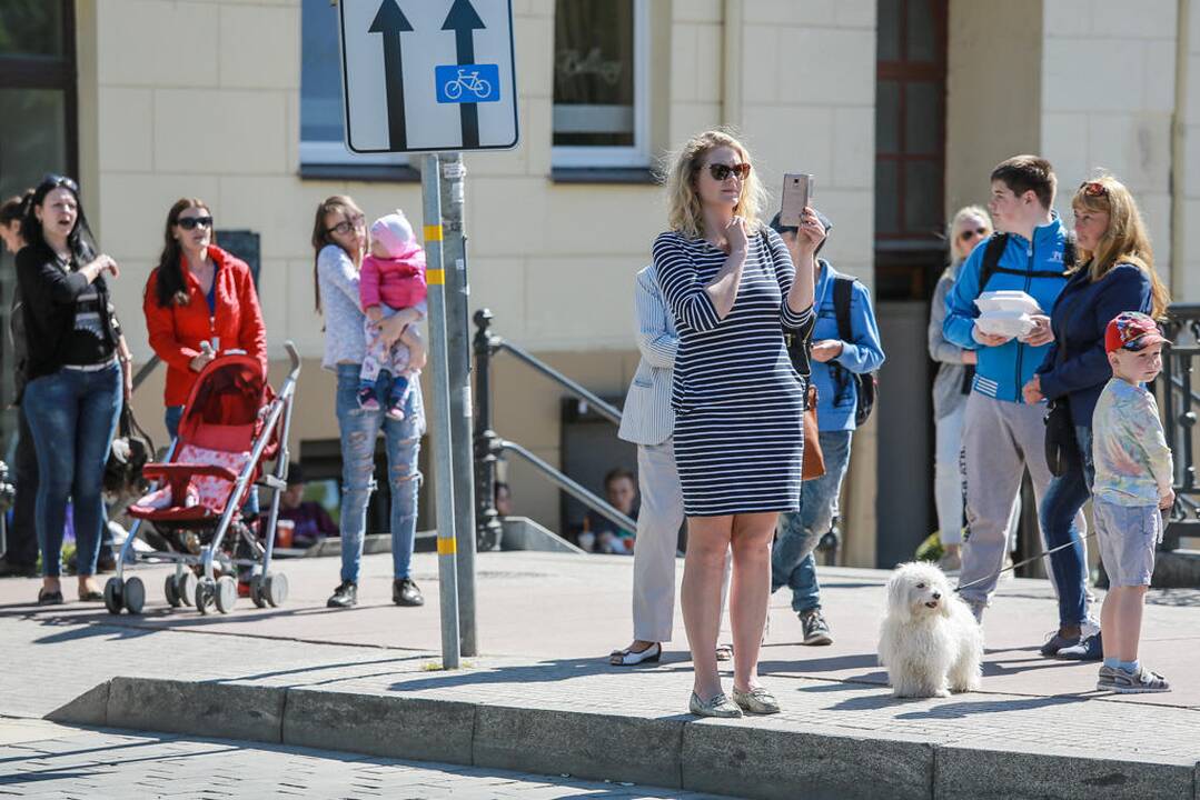 Tautinių mažumų festivalis