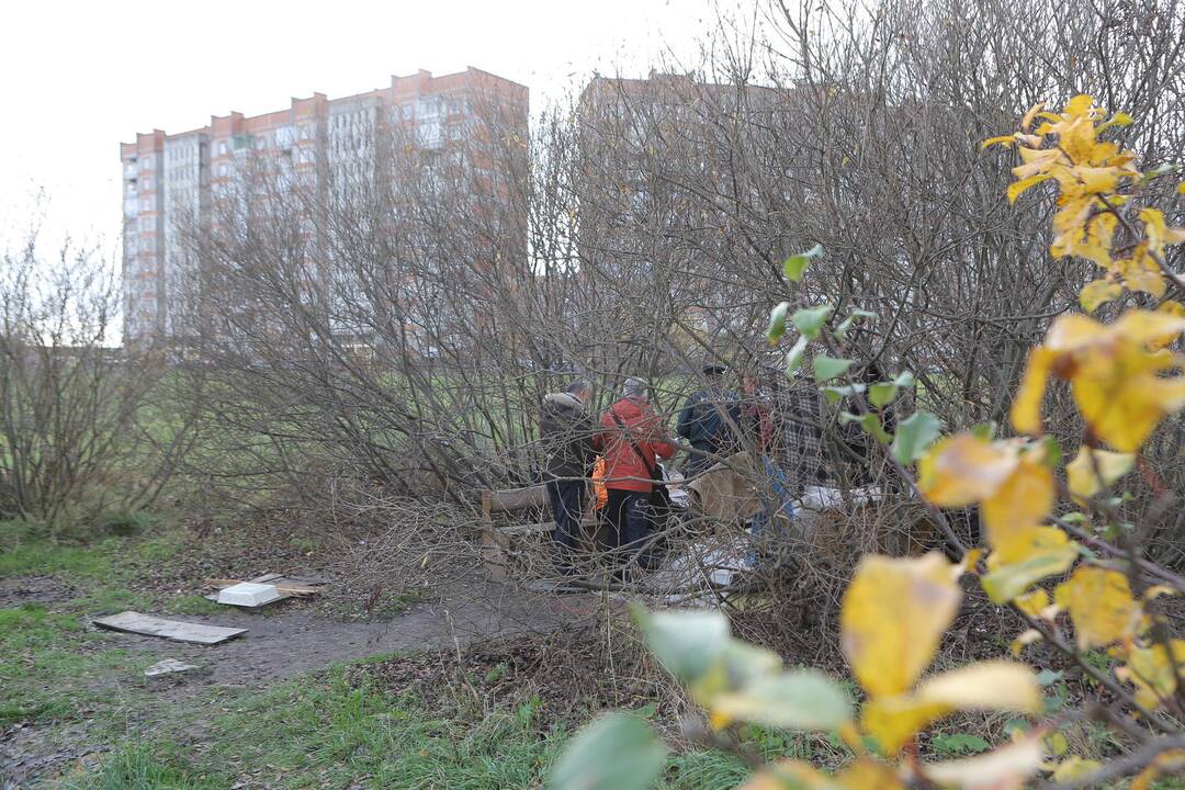 Klaipėdoje bandoma suskaičiuoti benamius