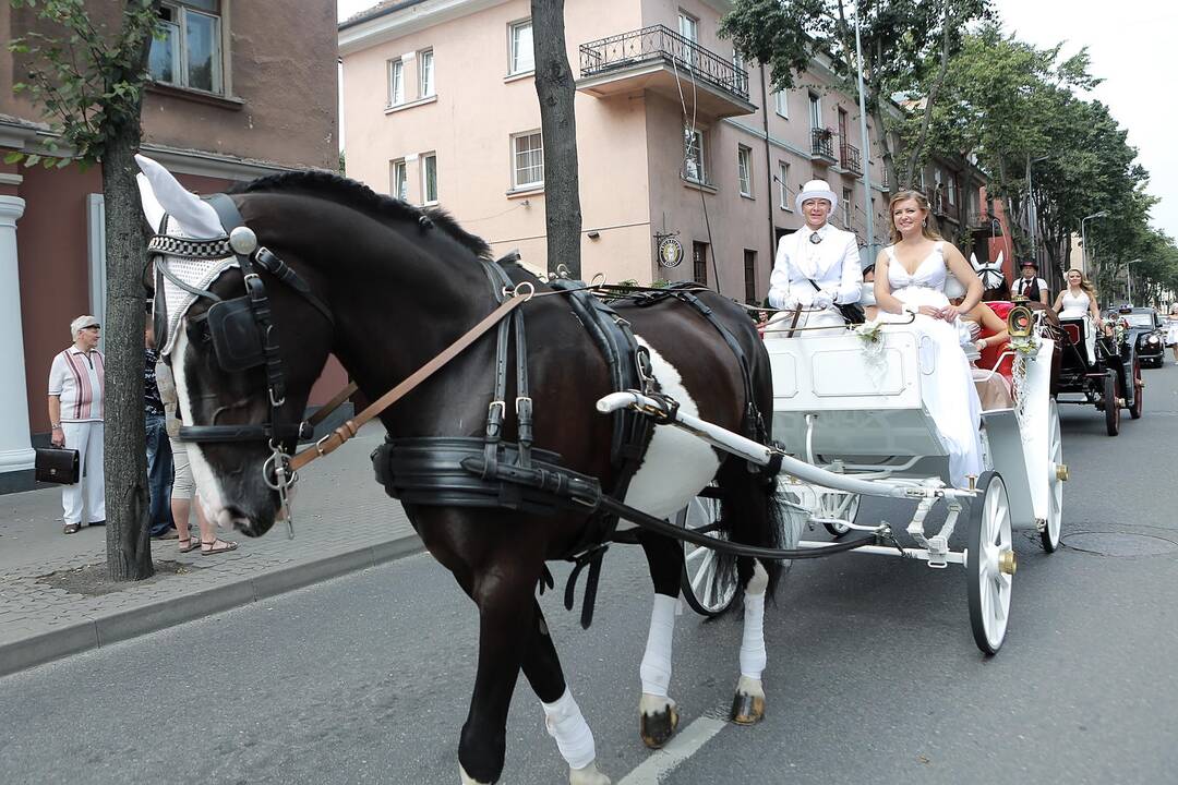 Klaipėdos nuotakų paradas