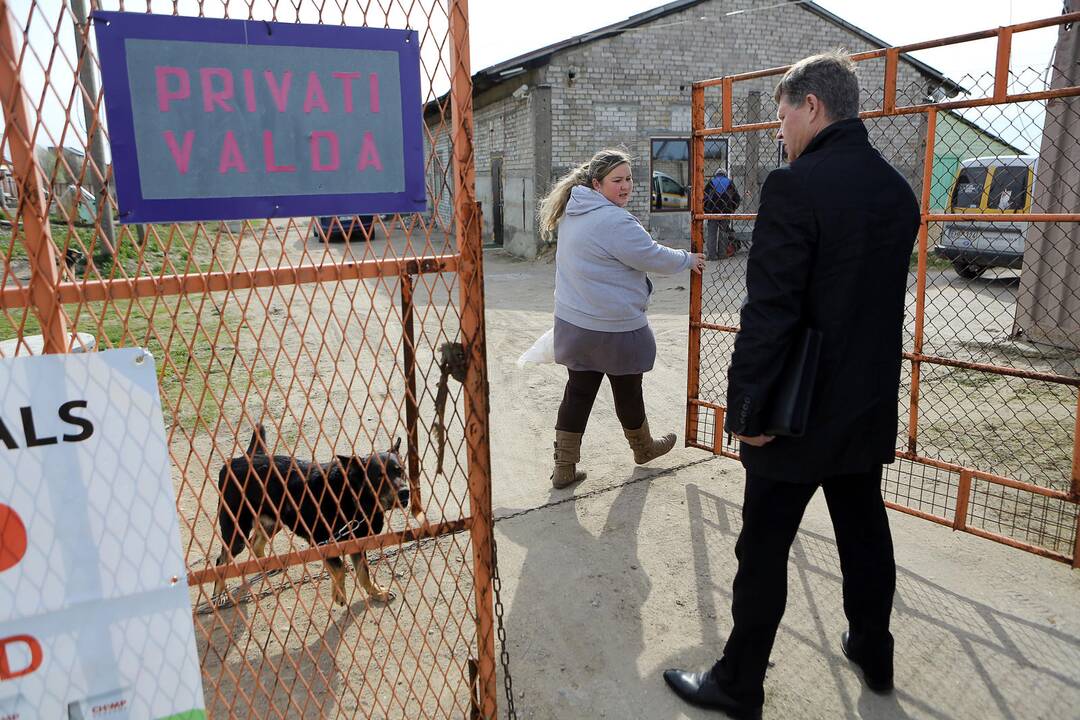 Veterinarų patikrinimas "Nuaras" gyvūnų prieglaudoje