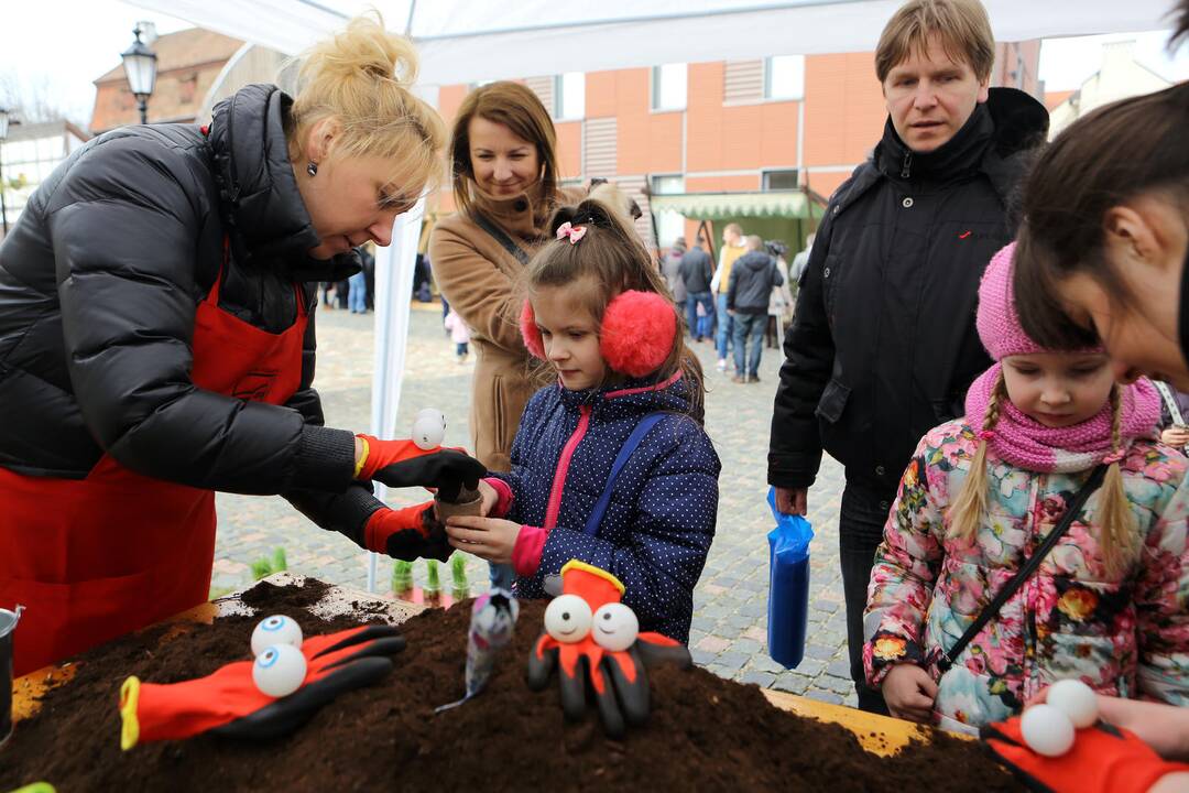 Atvelykis Klaipėdoje