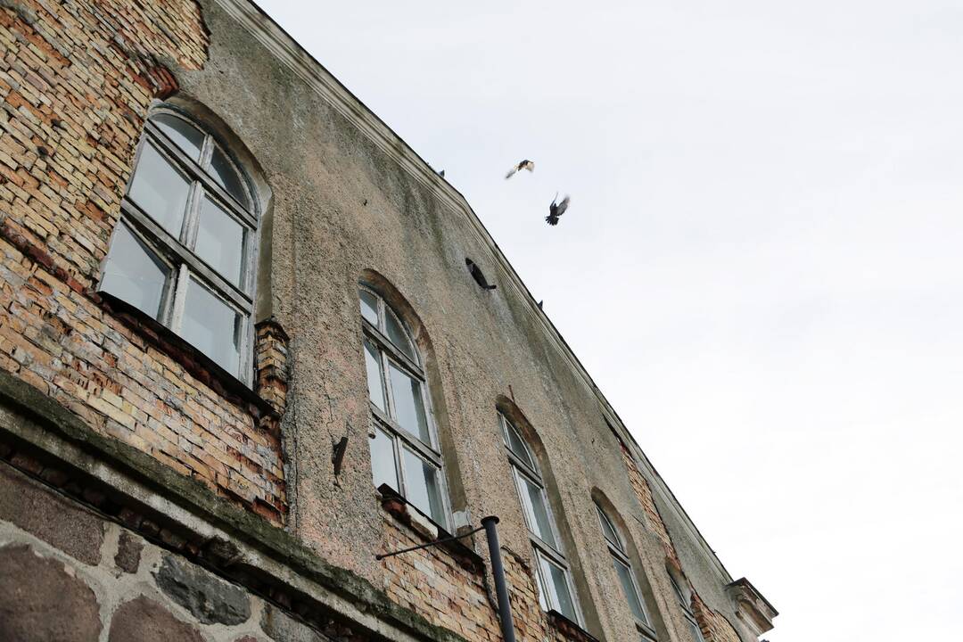 Apžiūrėjo buvusią jachtų klubo "Neptūnas" bazę