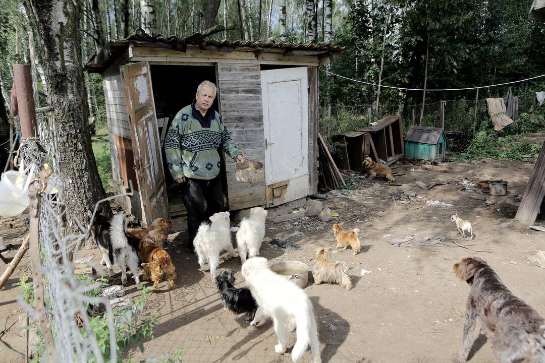 Nelegalus šunų veislynas