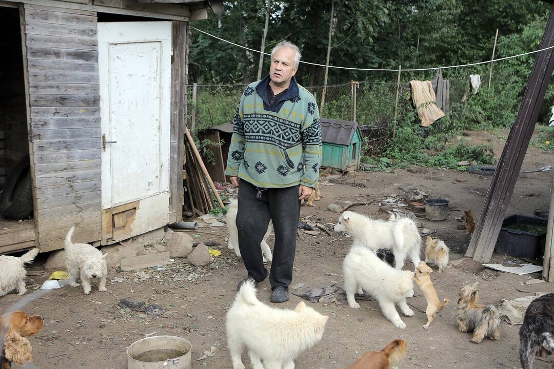 Nelegalus šunų veislynas