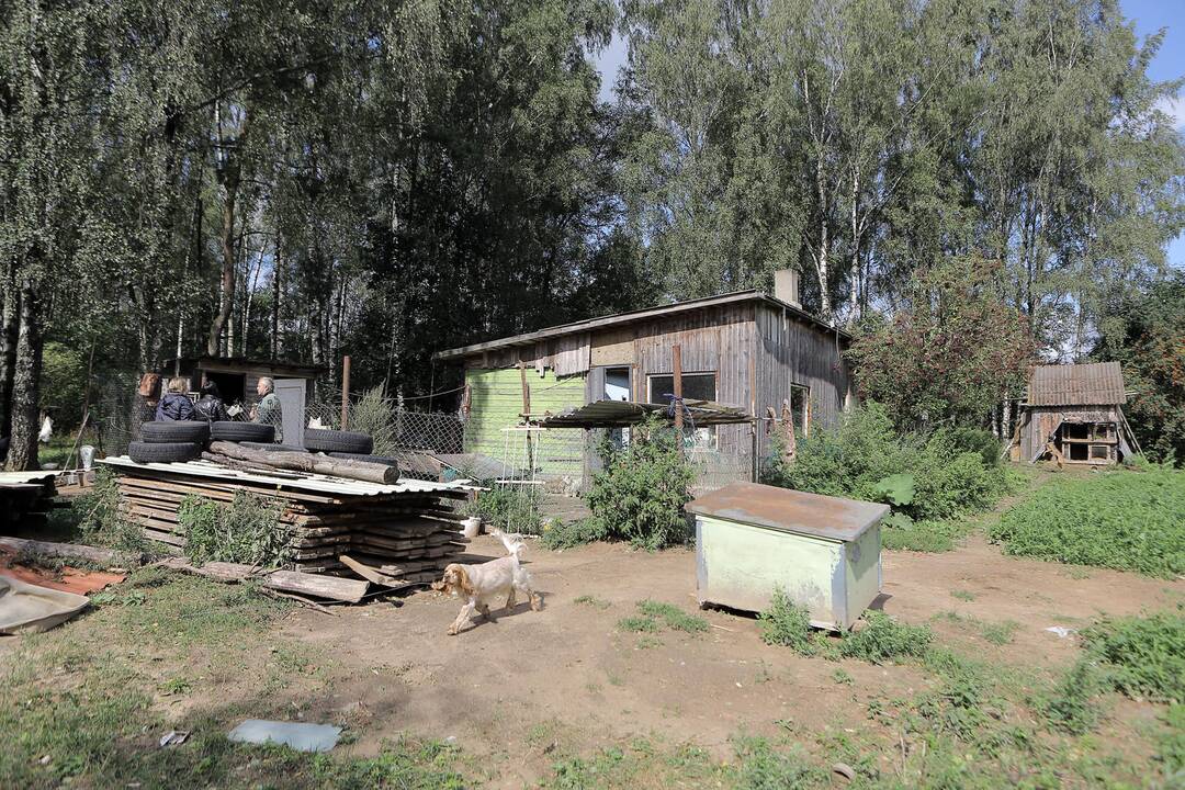 Nelegalus šunų veislynas