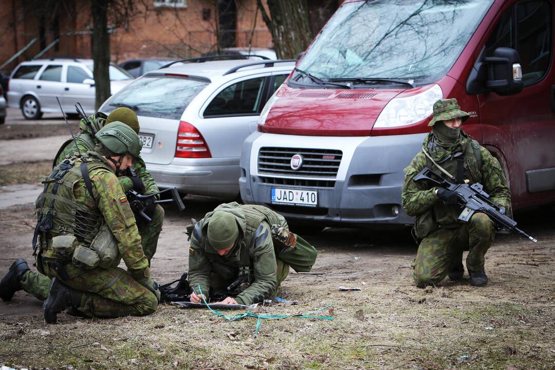 Karinės pratybos "Žaibo kirtis"