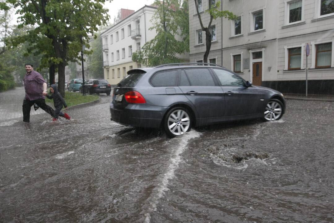 Liūtis Klaipėdoje