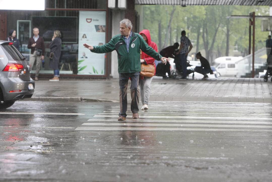 Liūtis Klaipėdoje