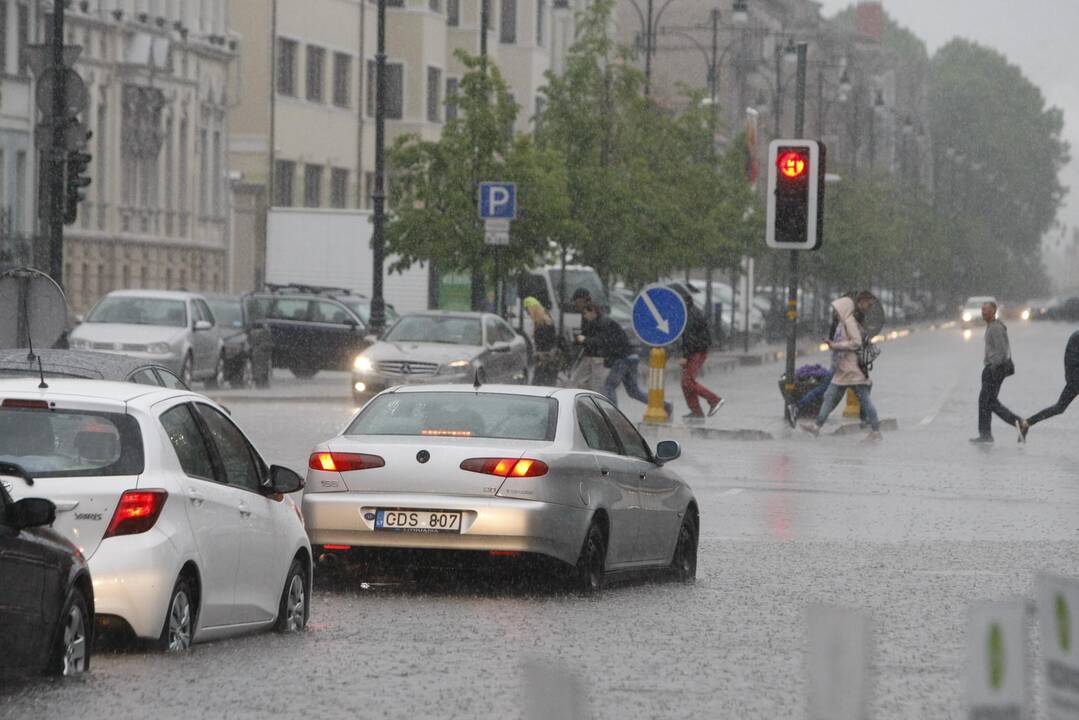 Liūtis Klaipėdoje