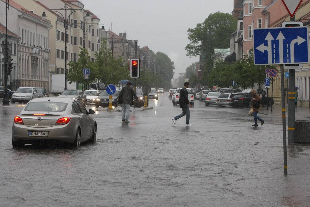 Liūtis Klaipėdoje