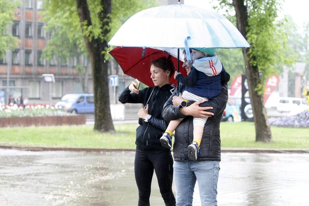 Liūtis Klaipėdoje