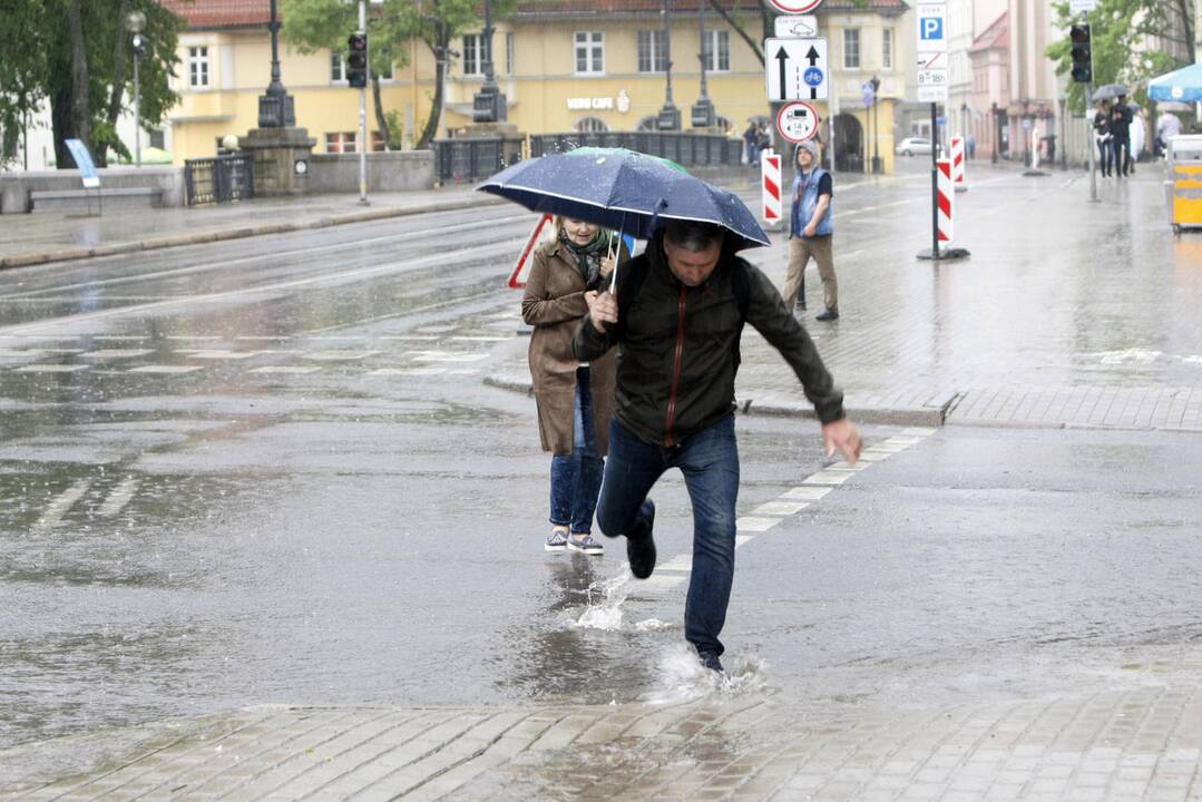 Liūtis Klaipėdoje