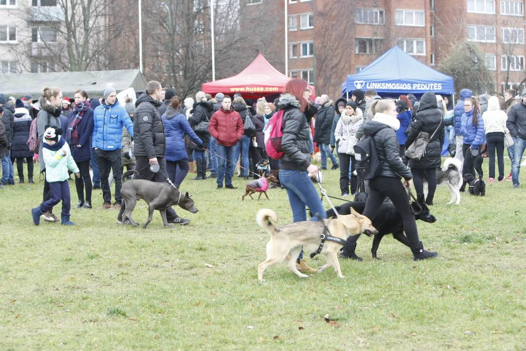 Keturkojų Kalėdos Klaipėdoje