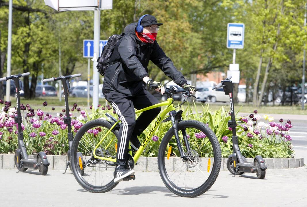 Gegužės 20-oji Klaipėdos diena