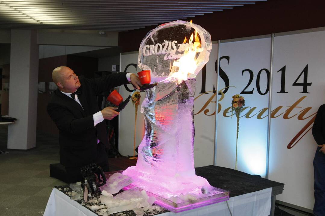 Klaipėdoje prasidėjo paroda „Grožis 2014“