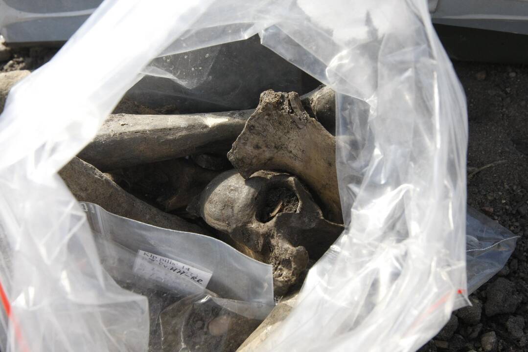 Archeologiniai radiniai piliavietėje
