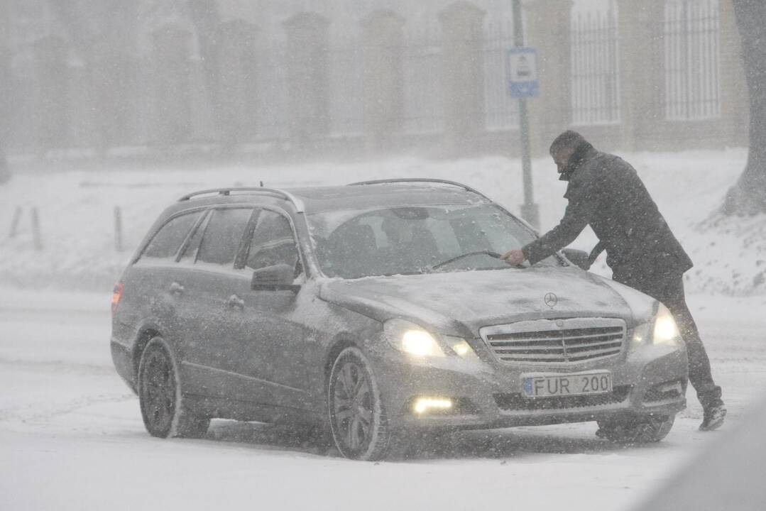 Pūga Klaipėdoje