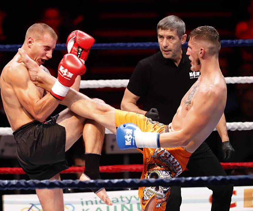 „KOK World Series 2019“ turnyras Kaune