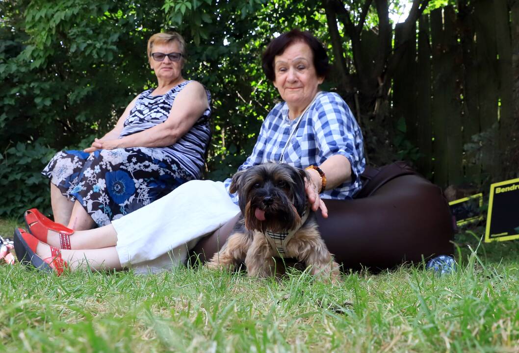 Piknikas su keturkojais Z.Kuzmickio padalinio kiemelyje
