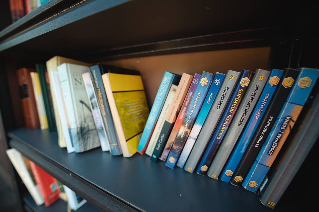 Vasaros biblioteka Panemunės paplūdimyje 