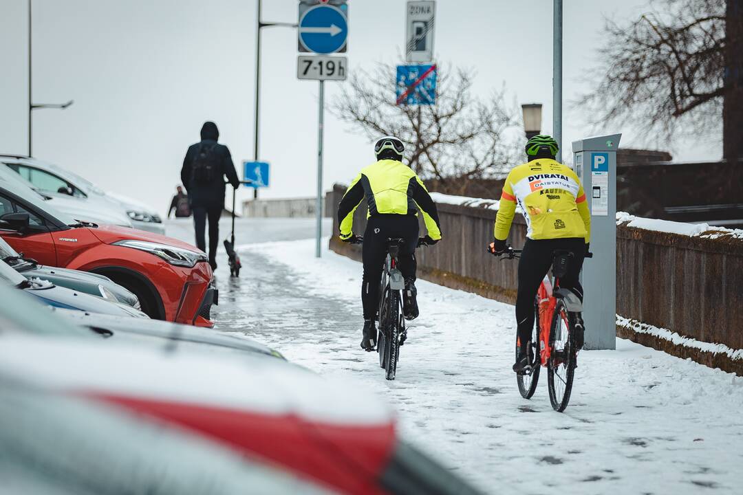 Pavasarinis sniegas Kaune