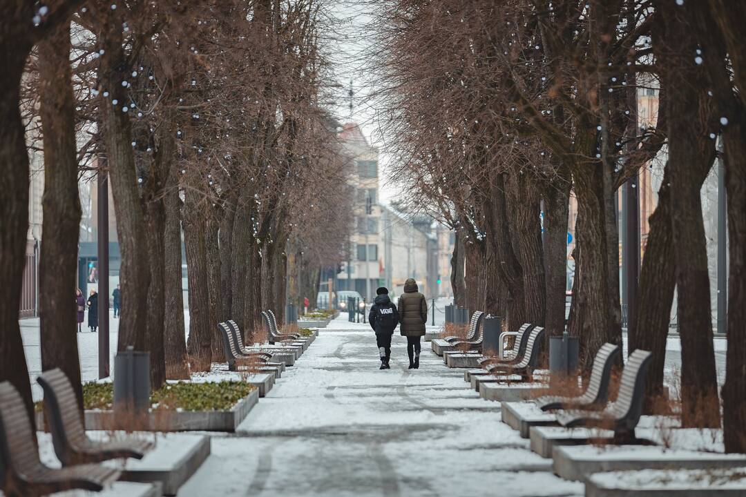 Pavasarinis sniegas Kaune
