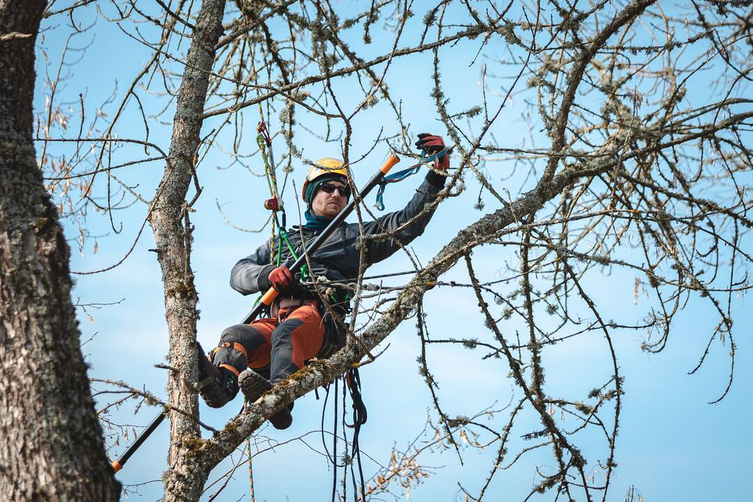 Nors judėjimo ribojimų neliko, žmonės į Birštoną neplūdo