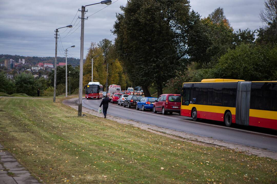 Nulūžęs medis suniokojo automobilį