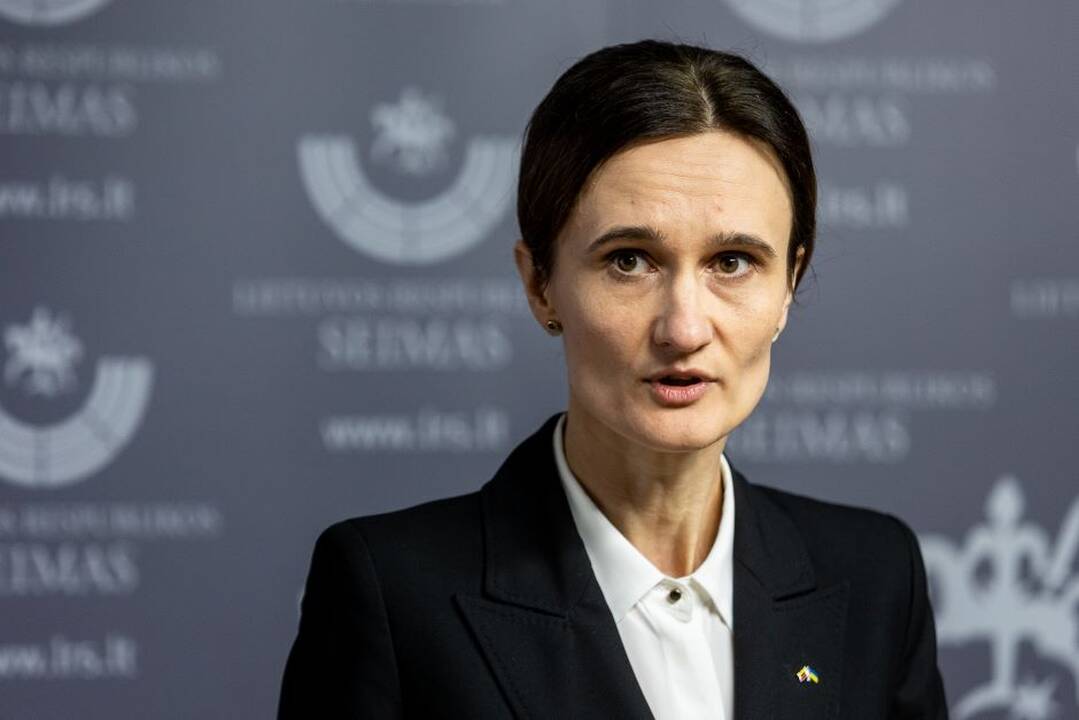 V. Čmilytė-Nielsen paaiškino, kodėl dar nepaskirtas antras žvalgybos kontrolierius