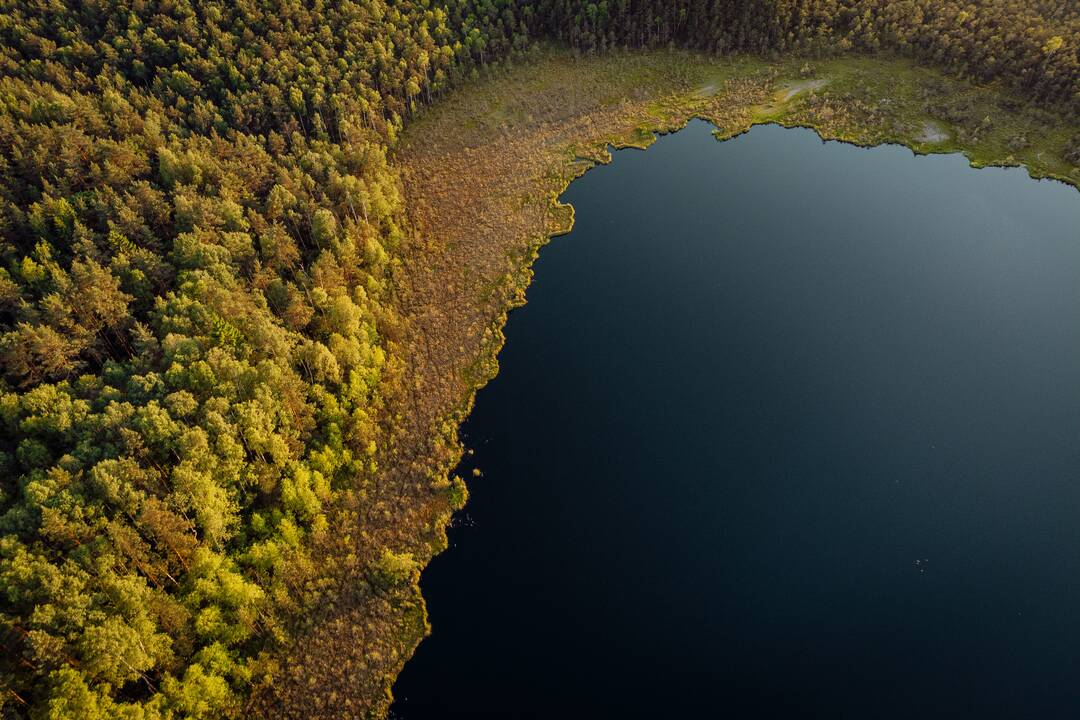 Varnikų pažintinis takas