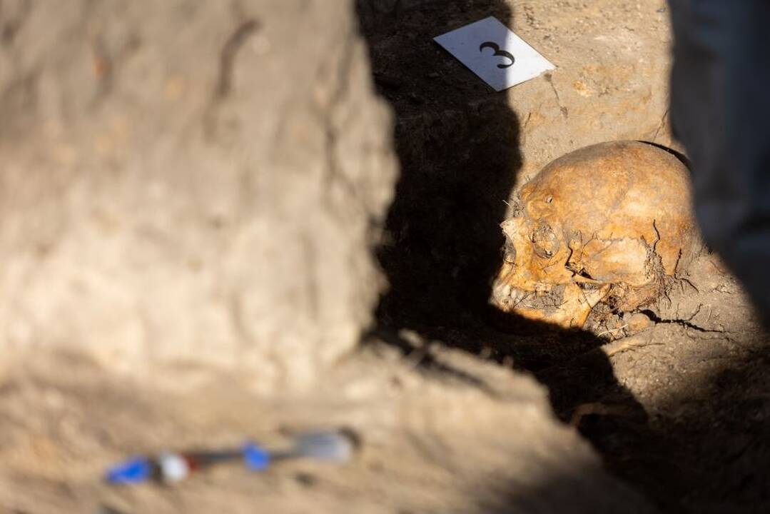Asociatyvi nuotr.