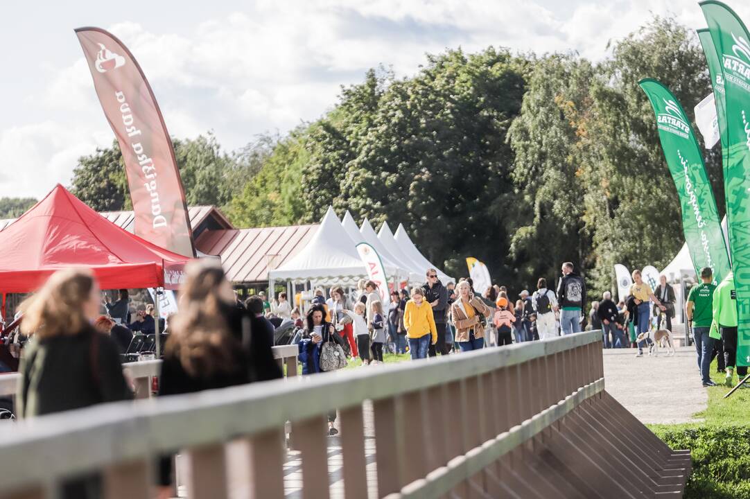 Būrelių mugė: ką veikti po pamokų