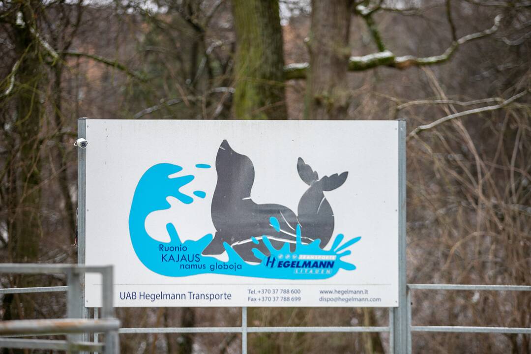 Zoologijos sodo gyvūnai gavo kalėdinių dovanų