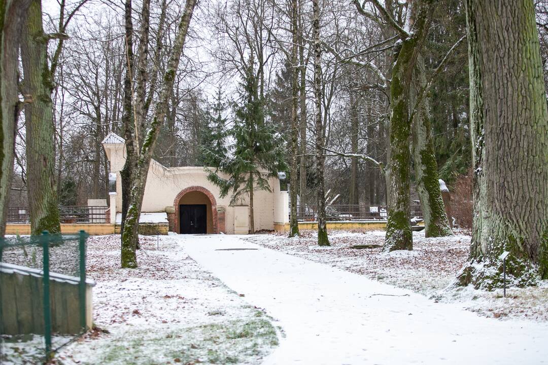 Zoologijos sodo gyvūnai gavo kalėdinių dovanų