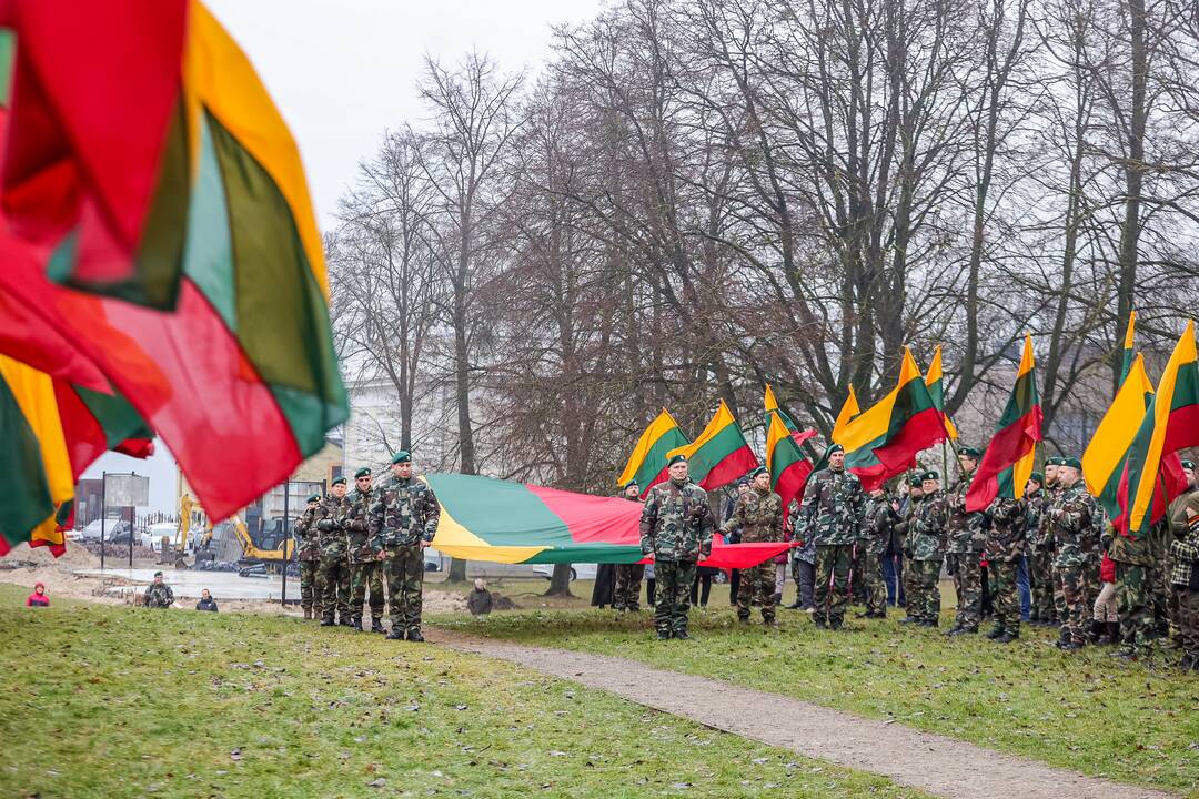 Lietuvos vėliavos dienos minėjimas