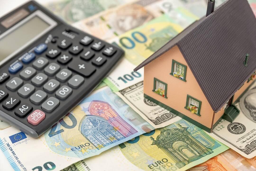 Paluckas dėl valstybinio NT apmokestinimo: tai būtų mokėjimas iš vienos kišenės į kitą