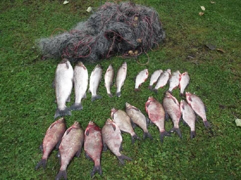 Praėjusią savaitę apie galimus aplinkosauginius pažeidimus gautas 531 pranešimas