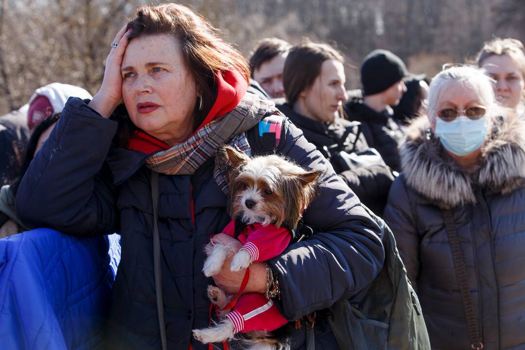 ES ministrai tariasi dėl laikinosios apsaugos statuso suteikimo ukrainiečių pabėgėliams