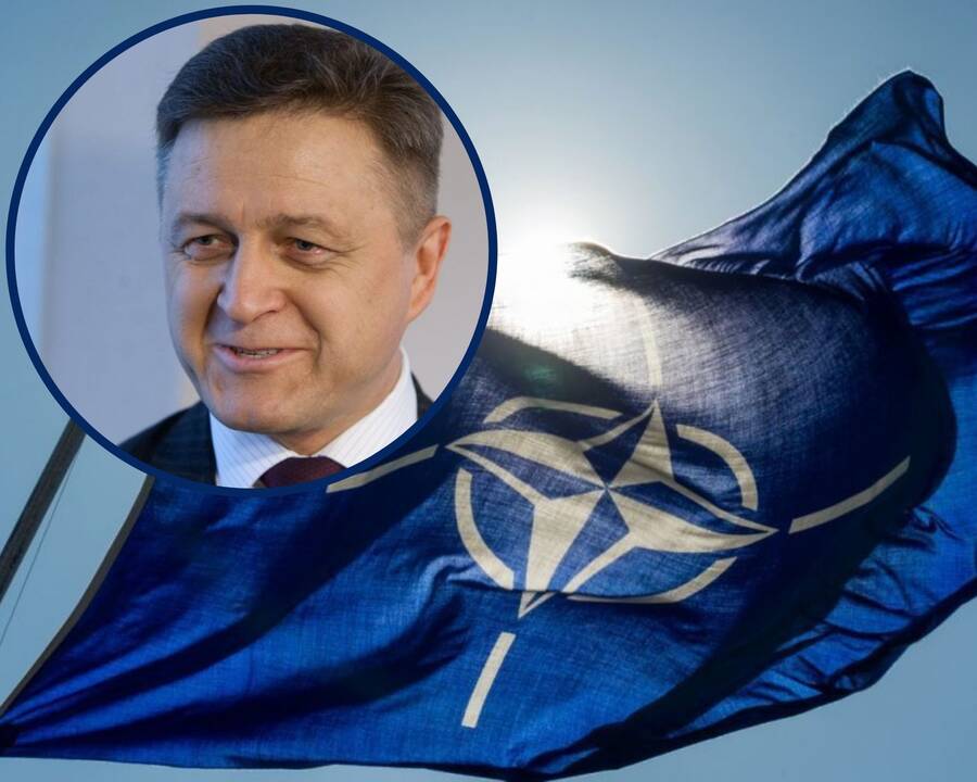 Seimo narys – prieš Švedijos įstojimą į NATO: jie žudė mūsų protėvius, griovė pilis, vogė turtą