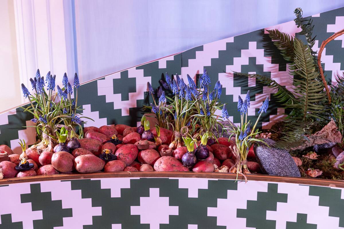  Į „Lietuvos garbės“ apdovanojimus rinkosi kviestiniai svečiai