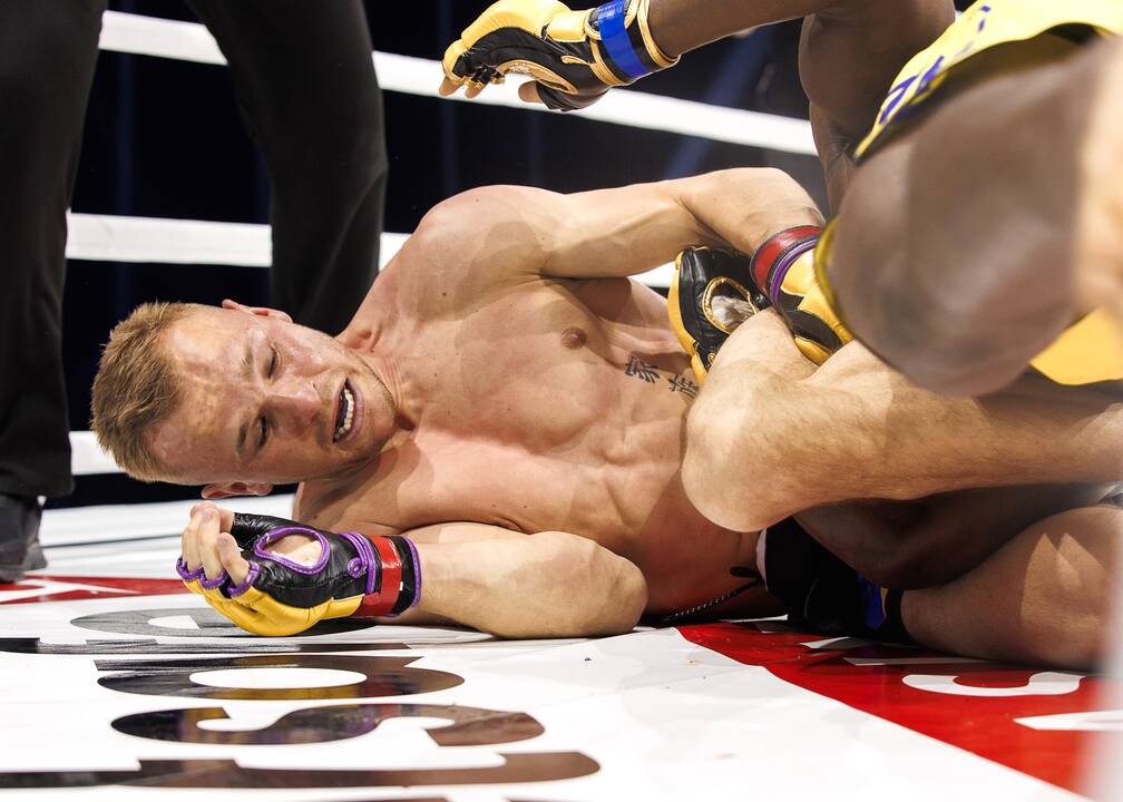 Žiūrovų kraują kaitino „Blade fights“ turnyras 