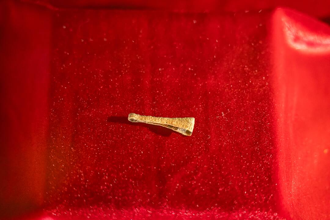 Europos archeologijos dienos Kauno pilyje