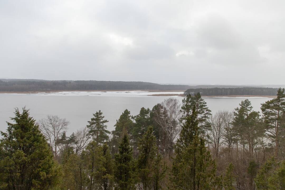 Kadagių slėnyje - lankytojų gausa