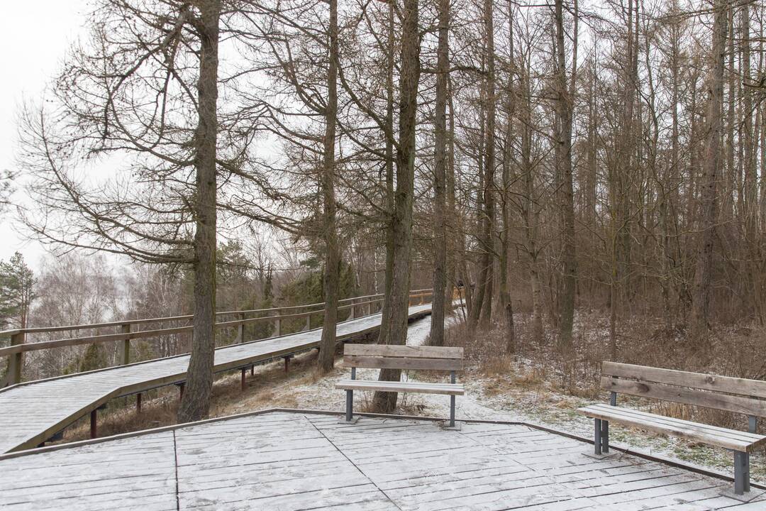 Kadagių slėnyje - lankytojų gausa
