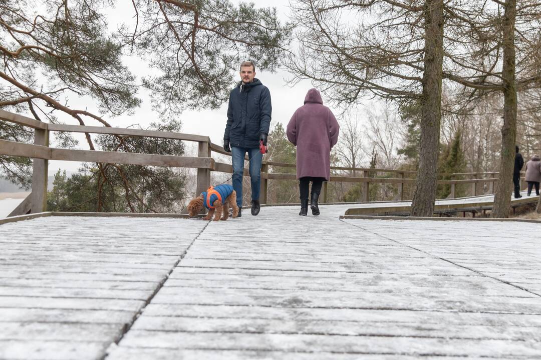 Kadagių slėnyje - lankytojų gausa