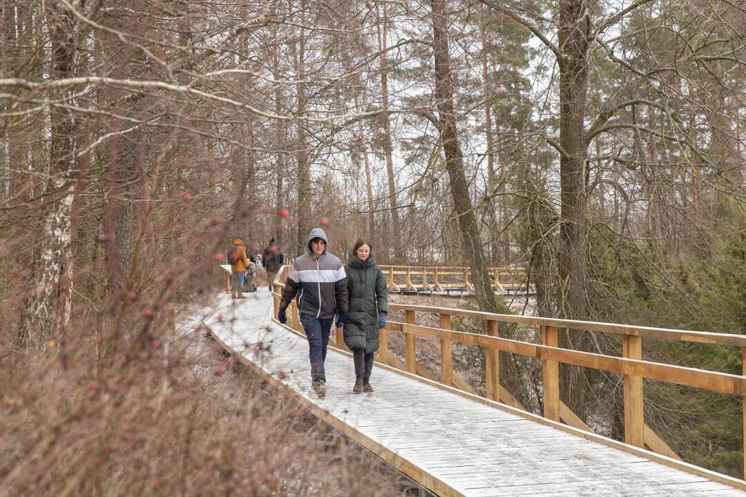 Kadagių slėnyje - lankytojų gausa