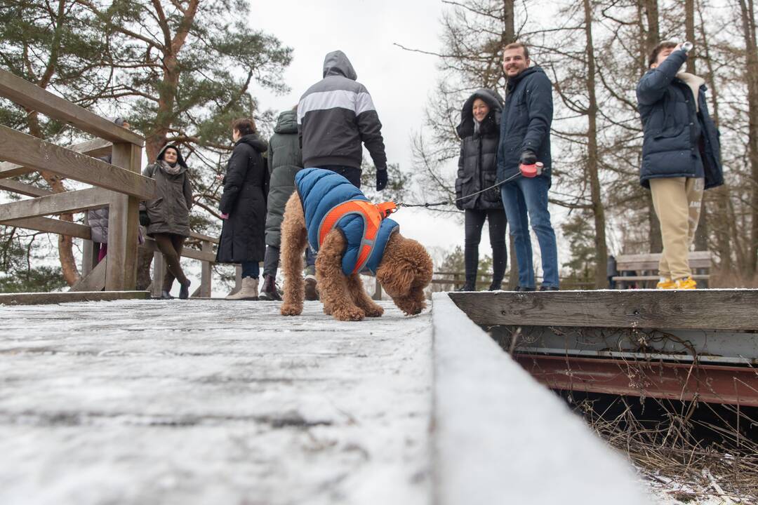 Kadagių slėnyje - lankytojų gausa