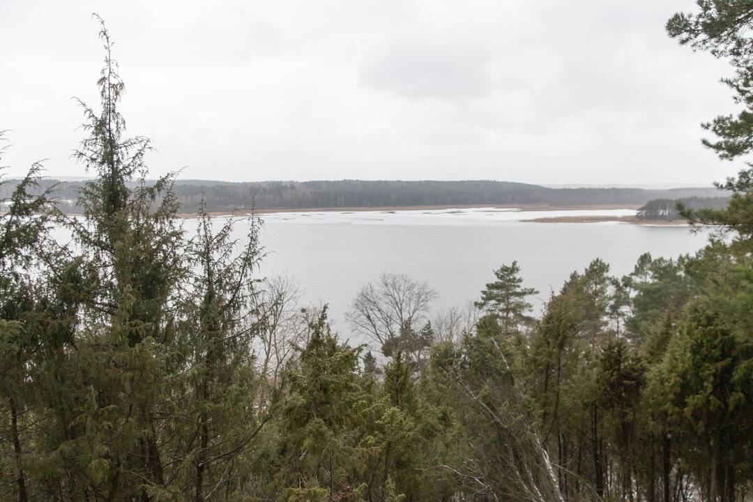 Kadagių slėnyje - lankytojų gausa
